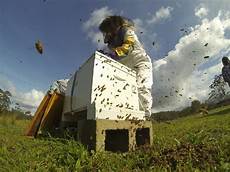 Beekeeper's Clothing
