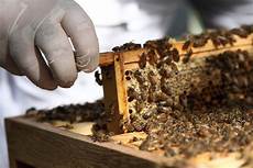 Beekeeping Clothing
