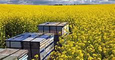 Beekeeping Clothing