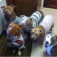 Kids Sweaters